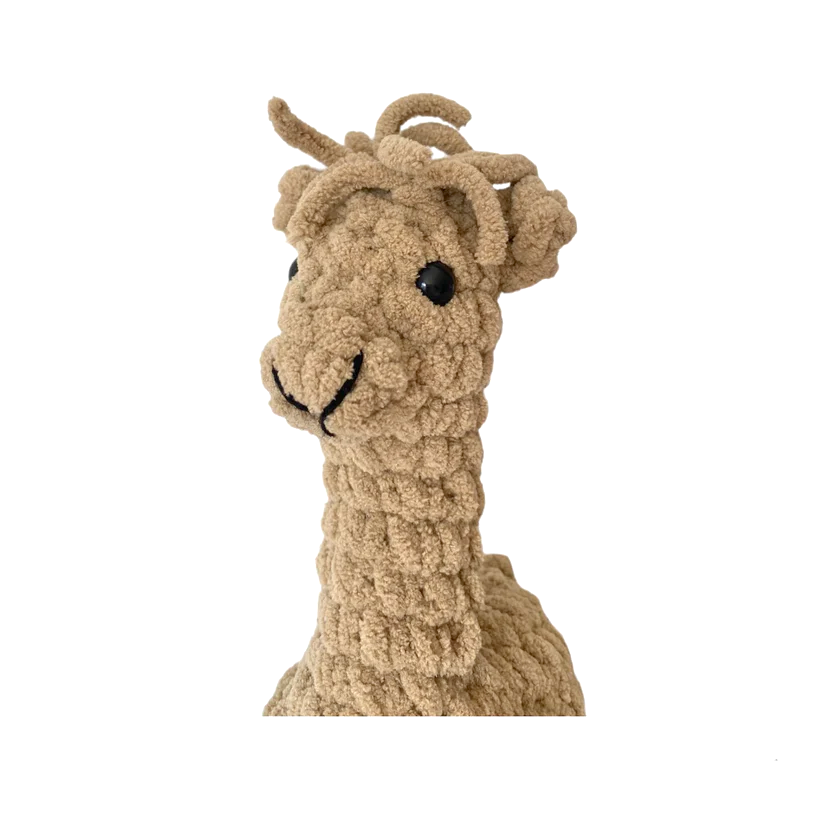 Llama